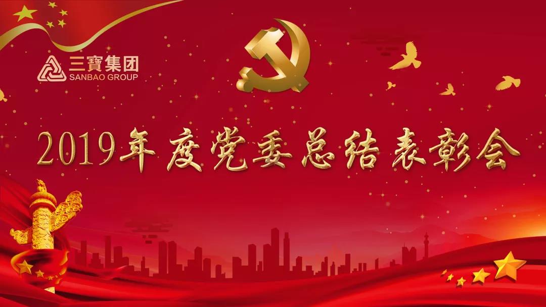 萬(wàn)眾一心加油干，不負(fù)韶華勇向前｜三寶集團(tuán)黨委召開2019年度總結(jié)表彰會(huì)