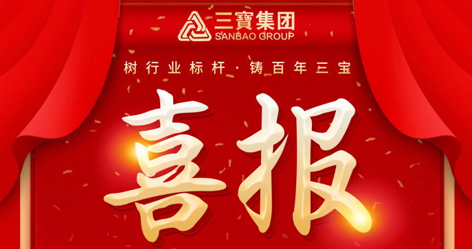 喜報！三寶職工榮獲福建省百萬職工“五小”創(chuàng)新大賽一等獎